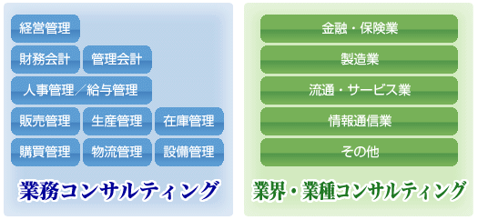 ＩＴ戦略コンサルティング
